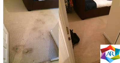 Carpet, Rug, Sofa & Upholstery cleaning Edinburgh
